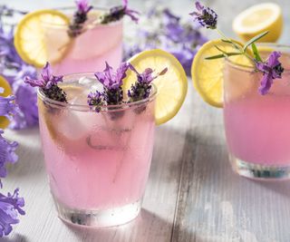 Three glasses of pink lemonade with lemon slices and lavender flowers