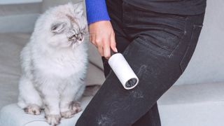 Someone using a lint roller on black jeans with a white cat watching