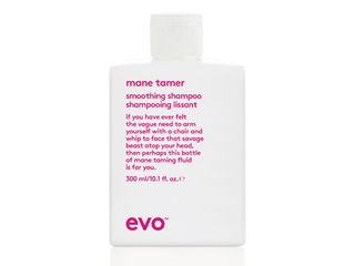 best shampoo for frizzy hair Evo Mane Tamer