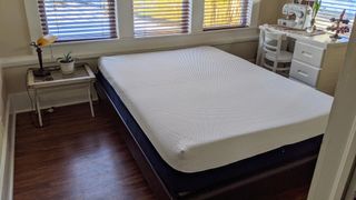 Amerisleep AS3 Memory Foam mattress in bedroom