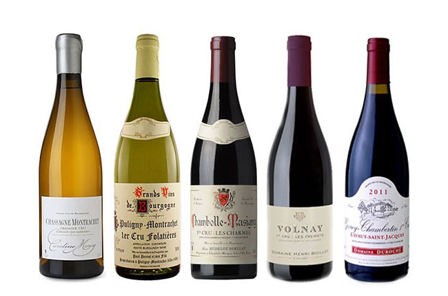 Top Value Burgundy 2011