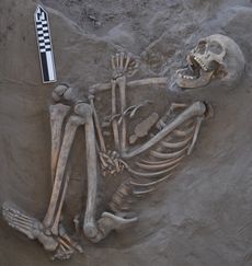 The 800-year-old skeleton now called Kaakutja had a long gash in its skull, likely due to a boomerang attack.