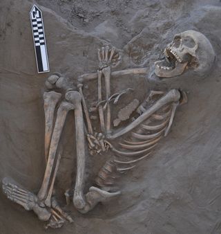 The 800-year-old skeleton now called Kaakutja had a long gash in its skull, likely due to a boomerang attack.