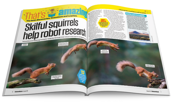 S+N Magazine - That's Amazing!