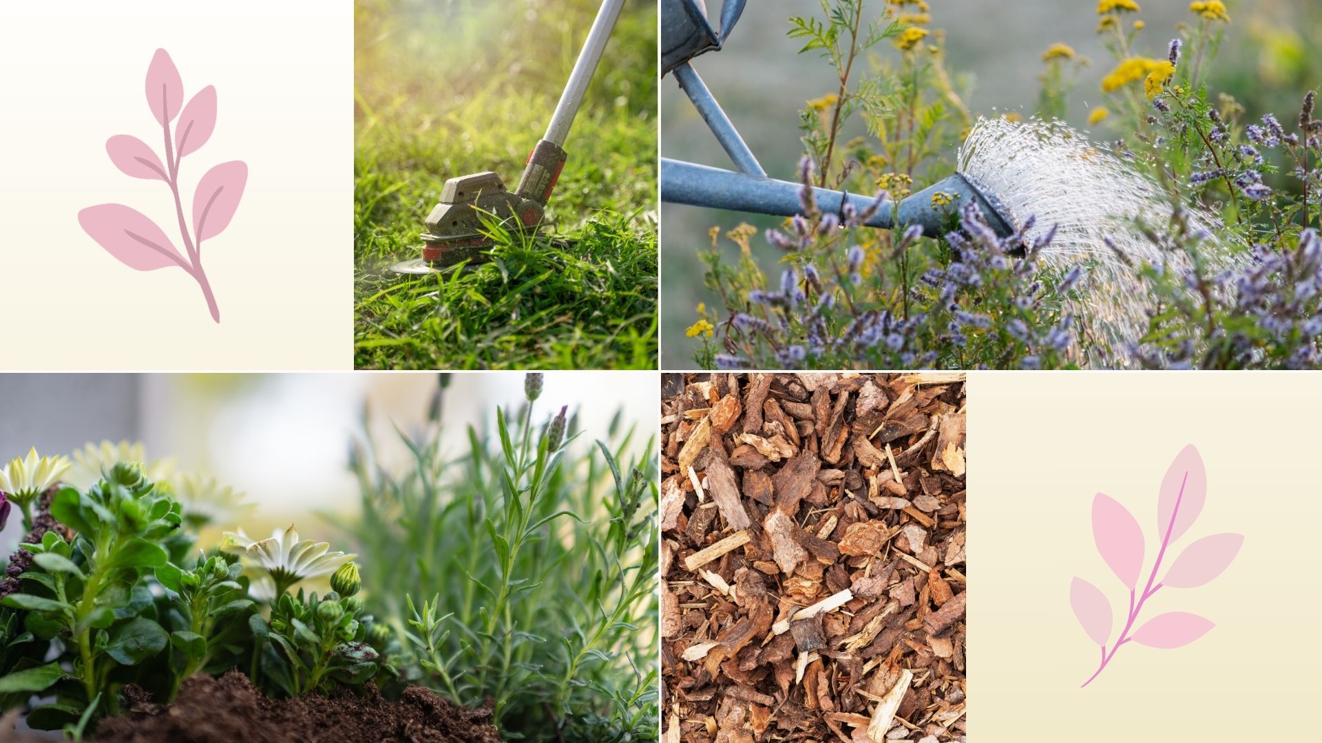  composite of pictures showing spring gardening and plants