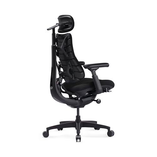 Libernovo Omni Se Dynamic Ergonomic Office Chair, Manual Lumbar, 48cm