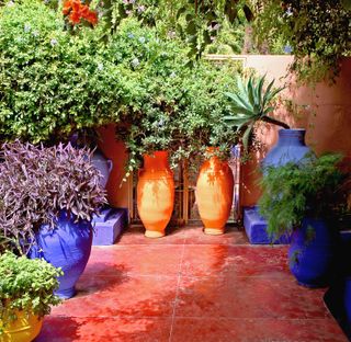 mediterranean gardens: two terracotta pots on patio