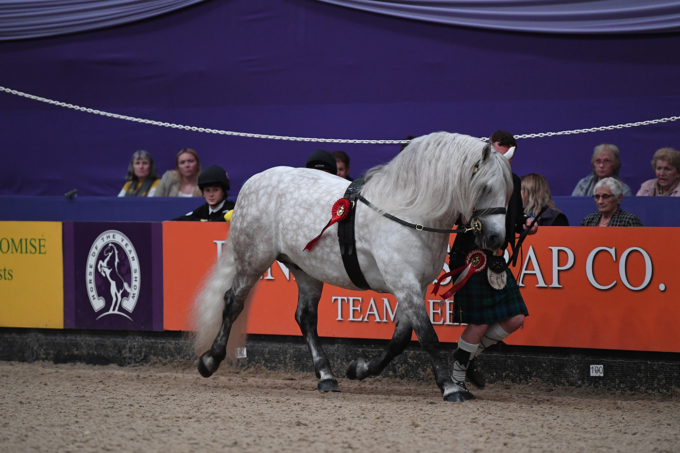 HOYS 2021