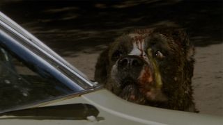 Cujo covered in blood