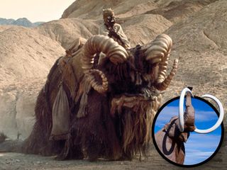 Bantha from Star Wars and a woolly mammoth.