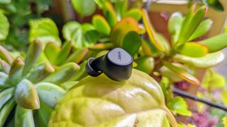 True Wireless Earbuds: Jabra Elite 7 Pro