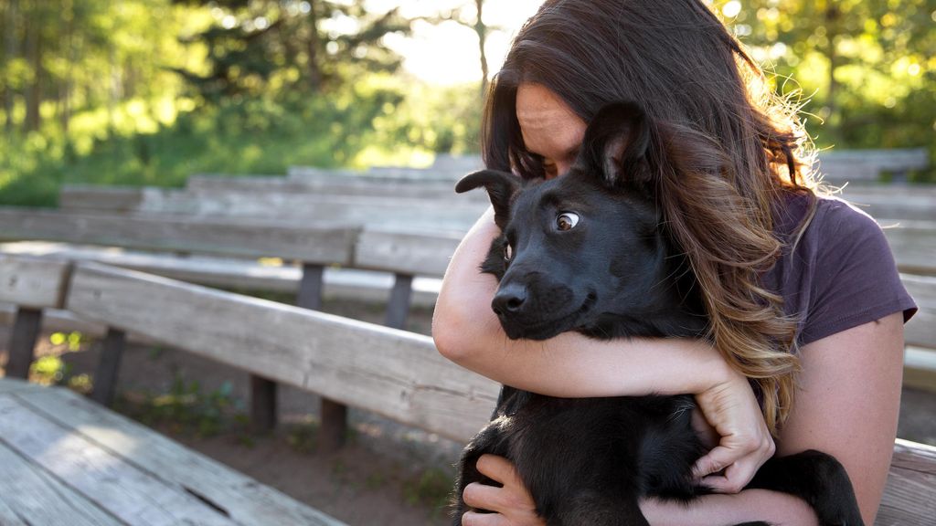 10 signs a dog is stressed | PetsRadar
