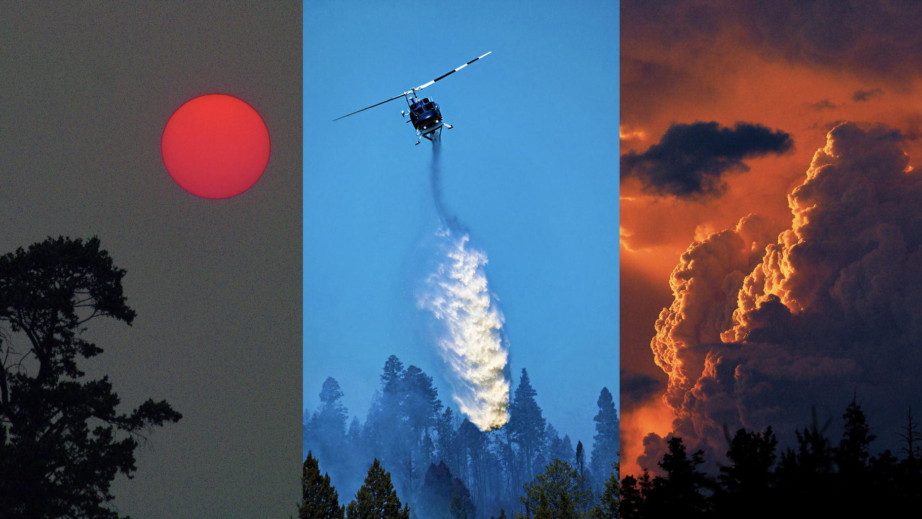 Wildfires in Canada