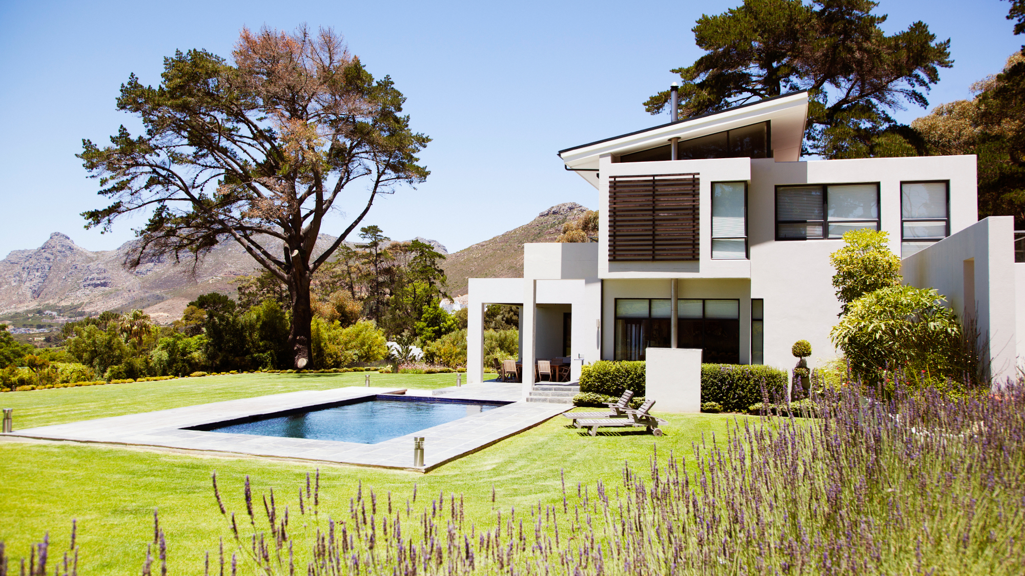modern house and backyard