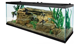 Tetra 55 Gallon Aquarium Kit fish tank