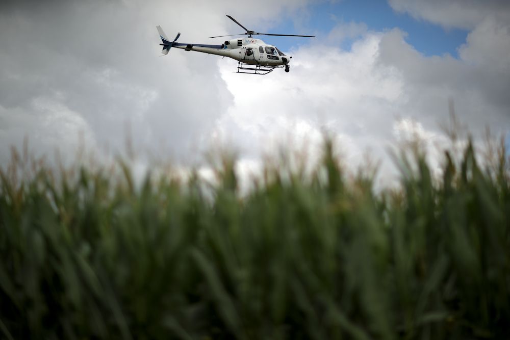 The ubiquitous helicopter lets you know when the peloton is approaching