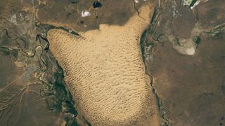 A satellite image of a giant slug-shaped field of sand dunes in Kazakhstan