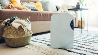 dehumidifier next to a basket and a sofa in a living room