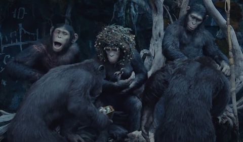 6 Things To Remember Before Seeing War For The Planet Of The Apes ...