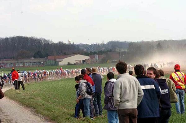 Here comes the pack