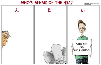 Political cartoon U.S. NRA Congress Trump Parkland mass shooting inaction gun control legislation student protests NRA
