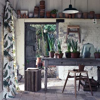 old room with wooden door plants pot on wooden table