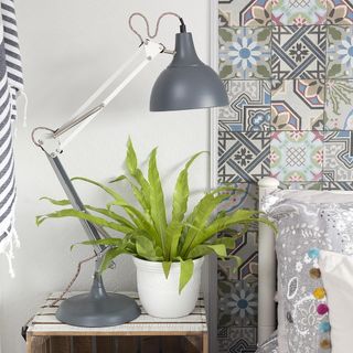 lamp on the table with potted plant