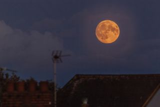 The moon's phases