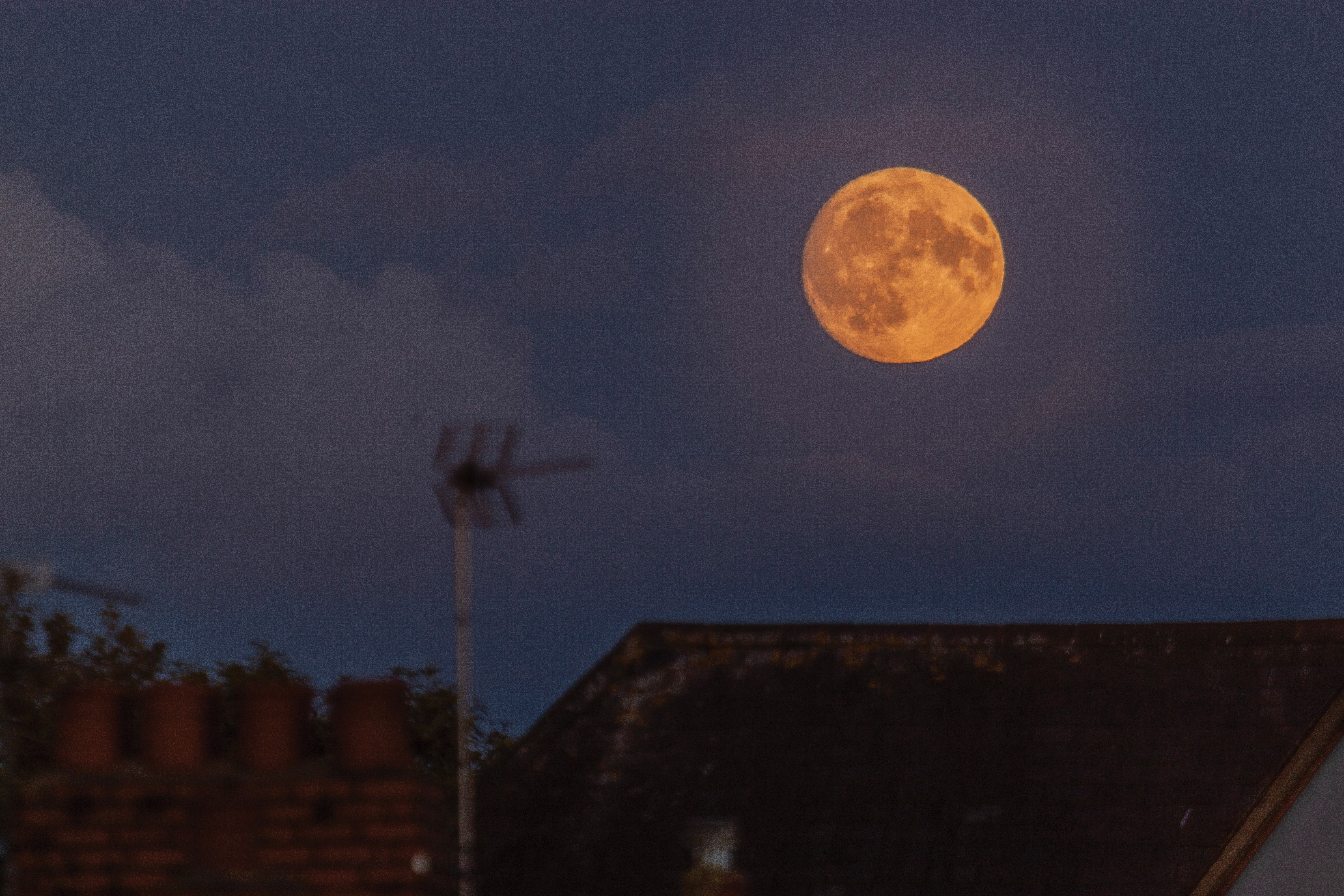The moon's phases