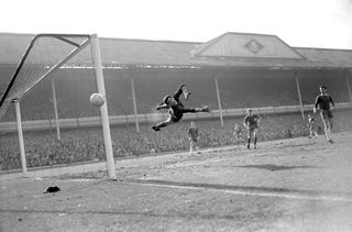 Peter Bonetti was known as the 'Cat' because of his agility