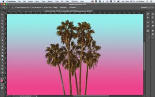 Screenshot of a palm tree with a gradient background in Photoshop