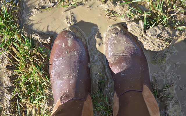 The dreaded gatewaysStandby for some comedy falls as you chase your horse around the field