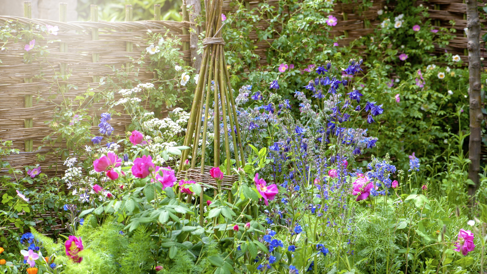 An English cottage garden flowerbed with a woven wicker plant support