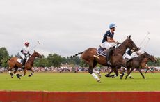 Polo.jpg