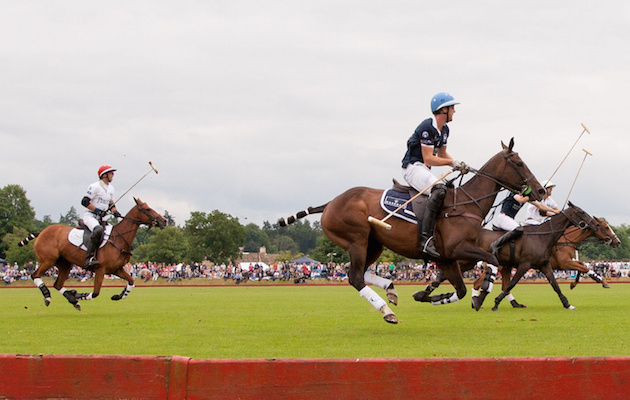 Polo.jpg