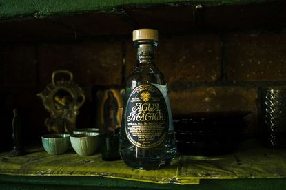 A bottle of Agua Mágica tequila on a green surface next to shot glasses and various other items pictured against a brick wall