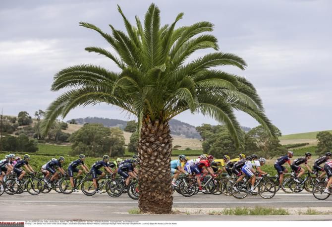 Some of the scenery on display from stage one