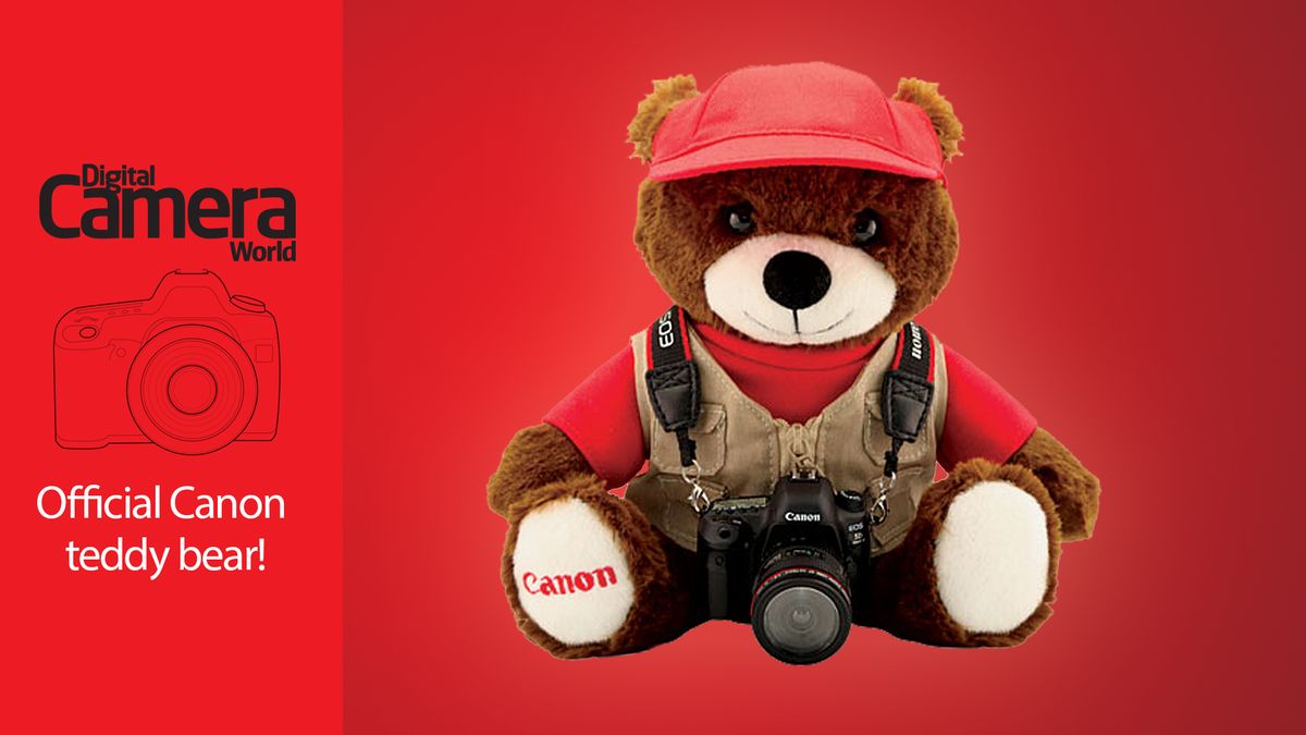Cute Canon teddy bear has lovable little digital camera – a fantastic vacation present!