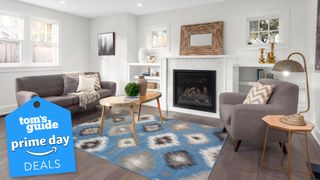 Living room bathed in bright natural light with a rug, couch, and armchair next to a fireplace