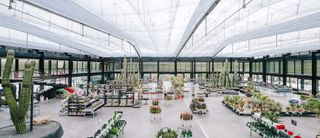 The greenhouse contains a selection of plants, as well as facilities such as retail space and a restaurant