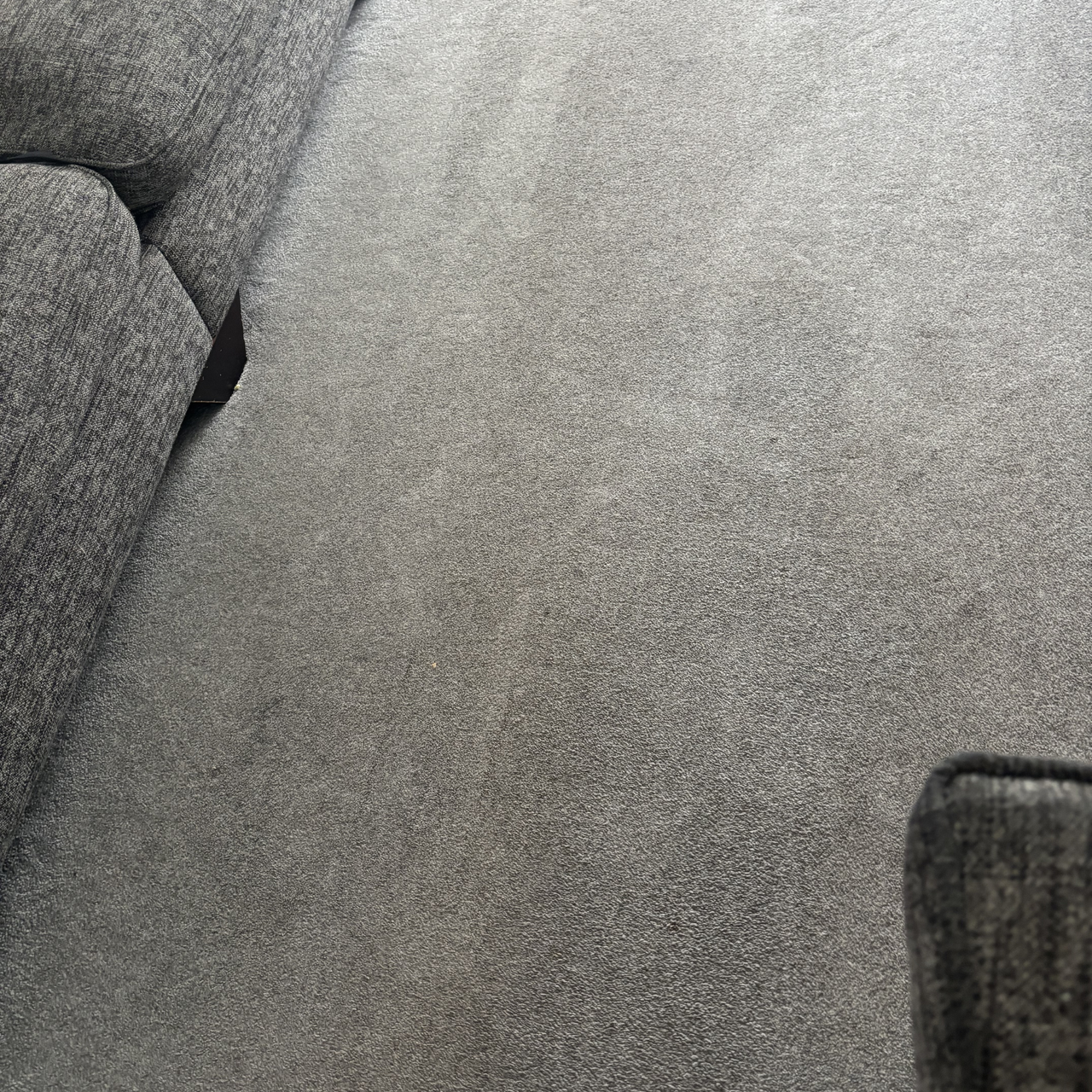 carpets after using VAX Platinum SmartWash