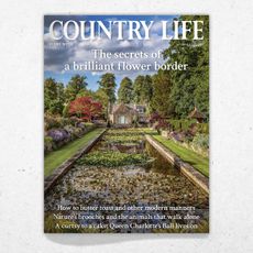 Cover of Country Life 27 August 2025