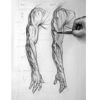 How to draw an arm | Creative Bloq