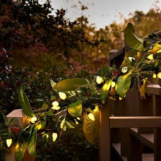 A hand rail with foliage wrapped in string lights