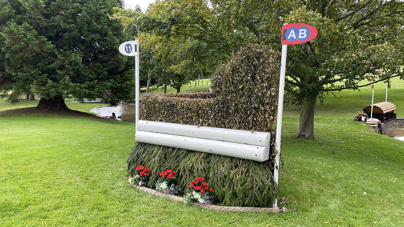11ab-alt