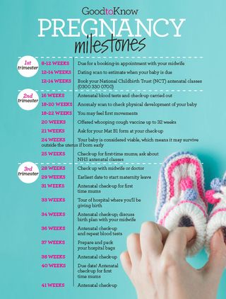 Pregnancy milestones in each trimester