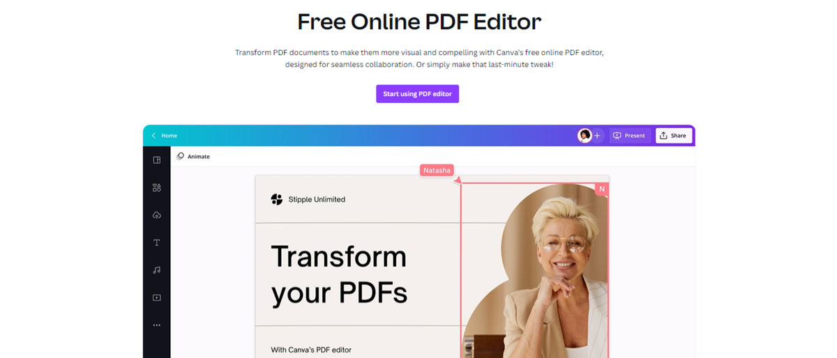 Screenshot of Canva PDF Editor