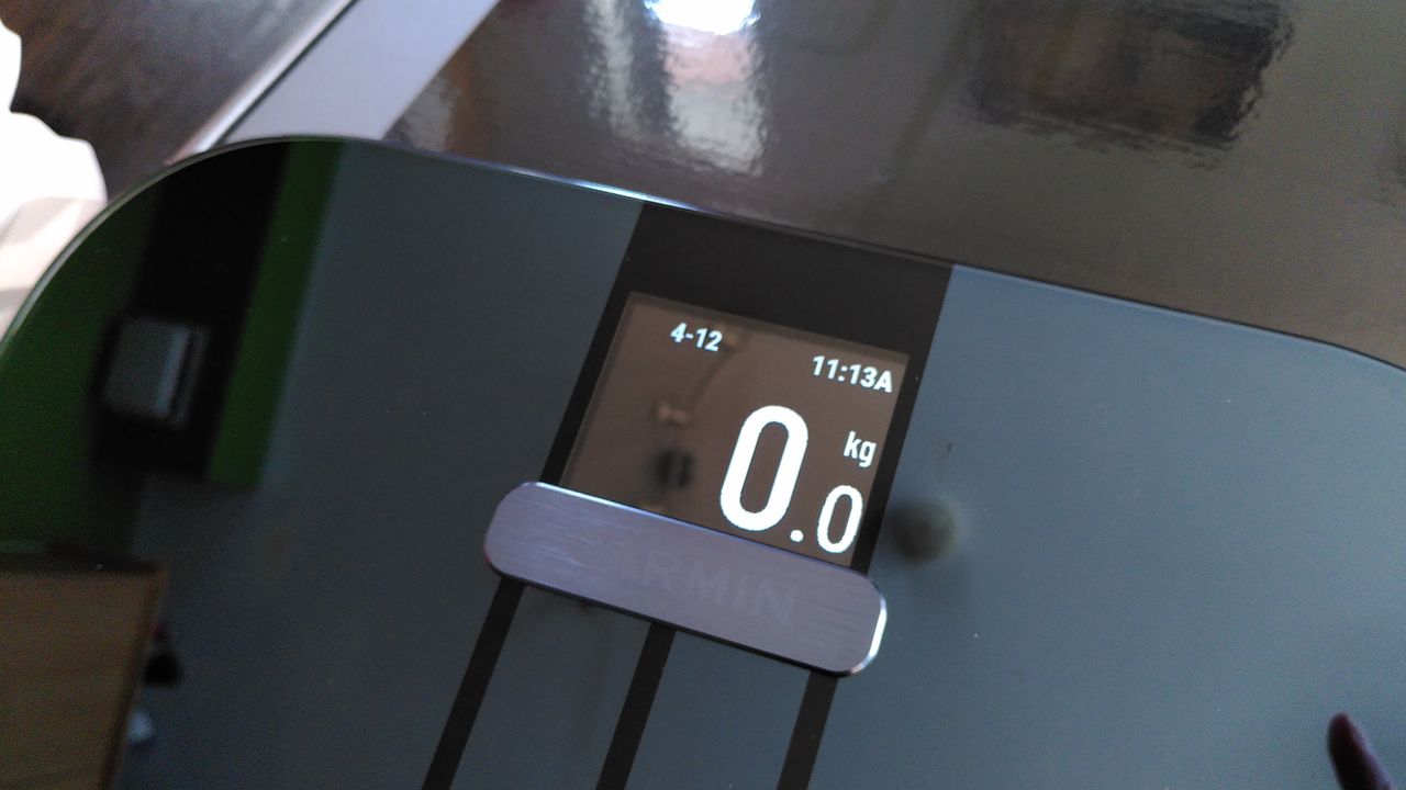 Garmin Index S2