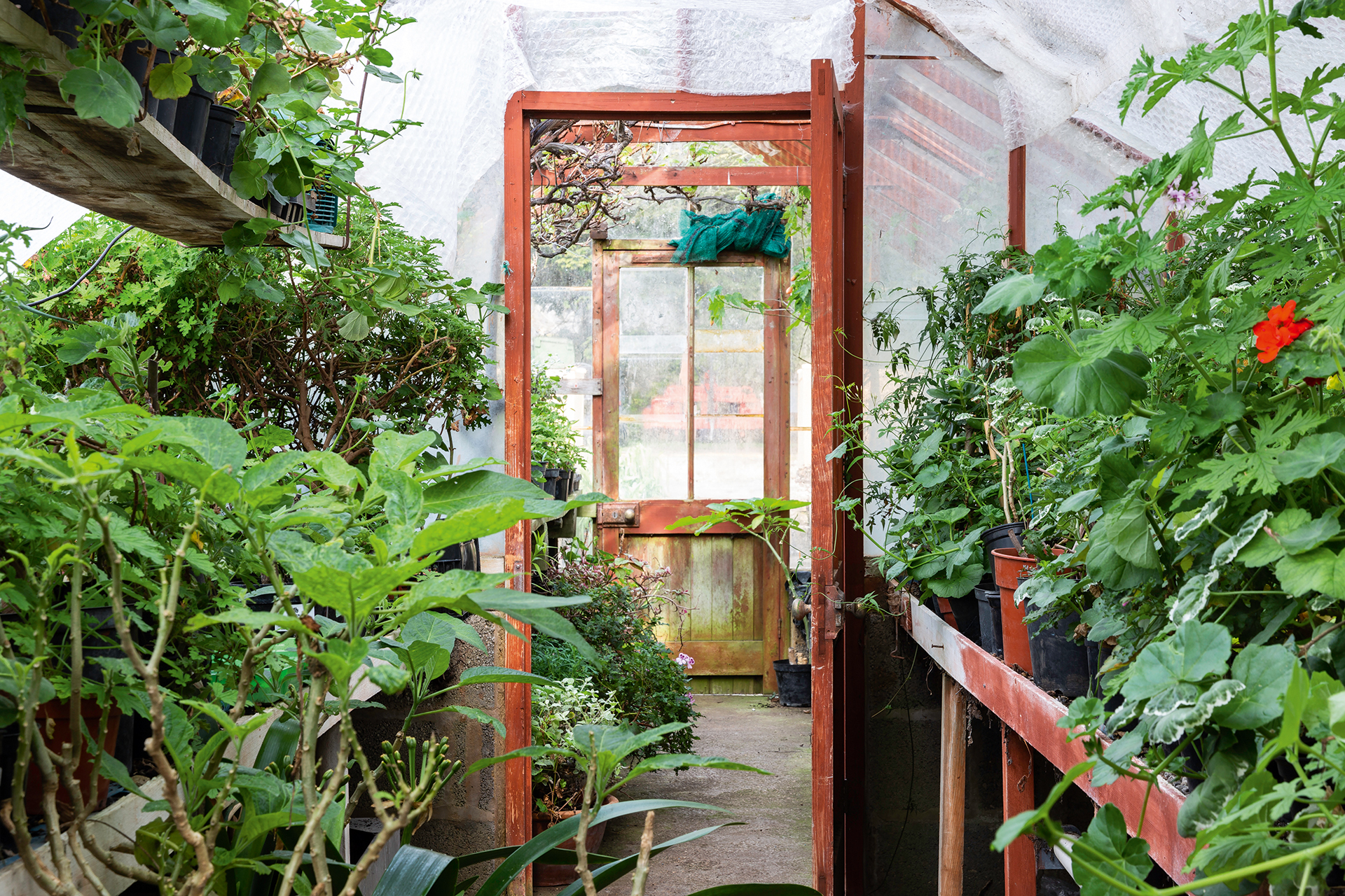 vegetable garden ideas rectory greenhouse