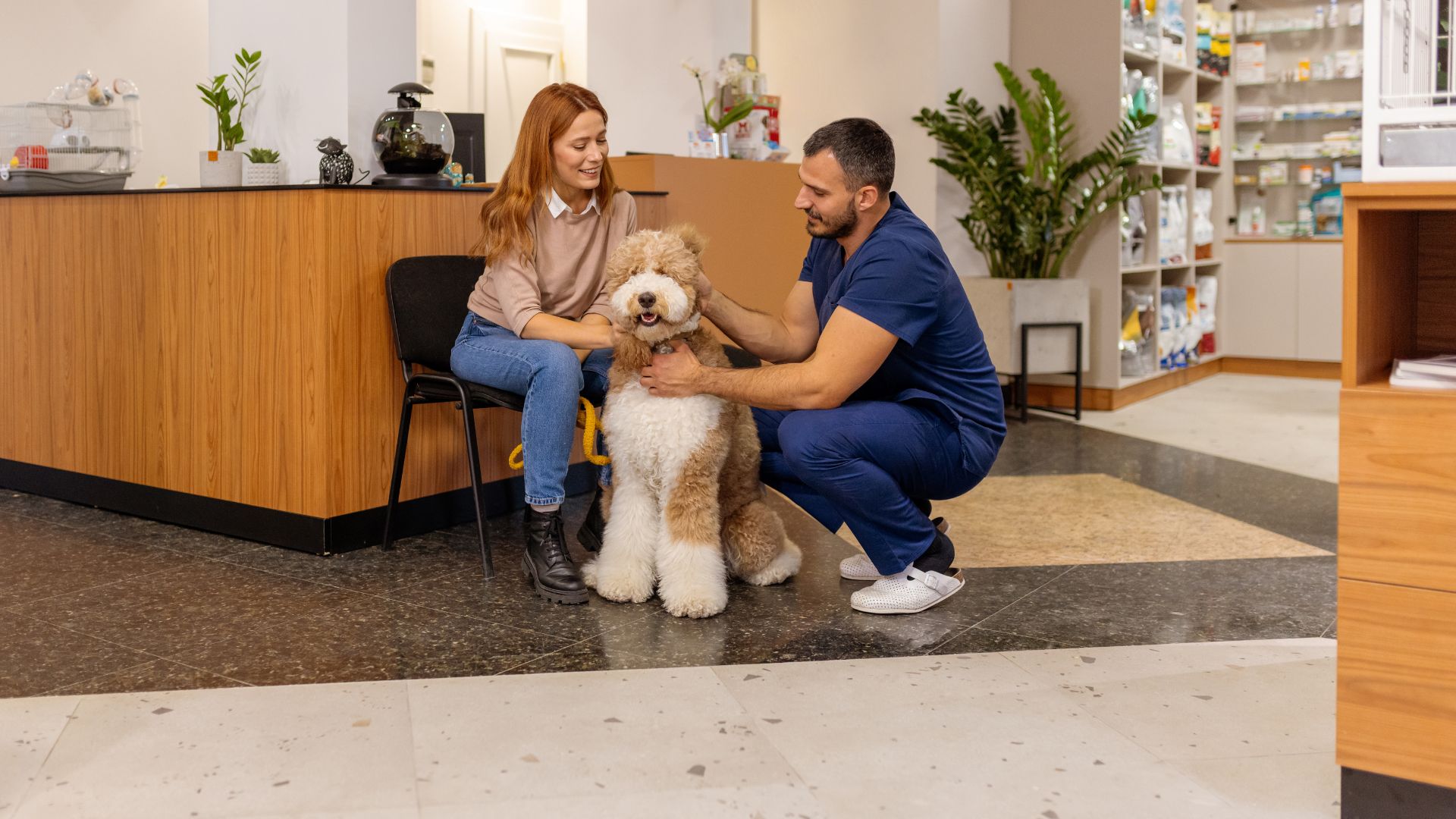 Woman talking to a vet with her dog lying on the floor